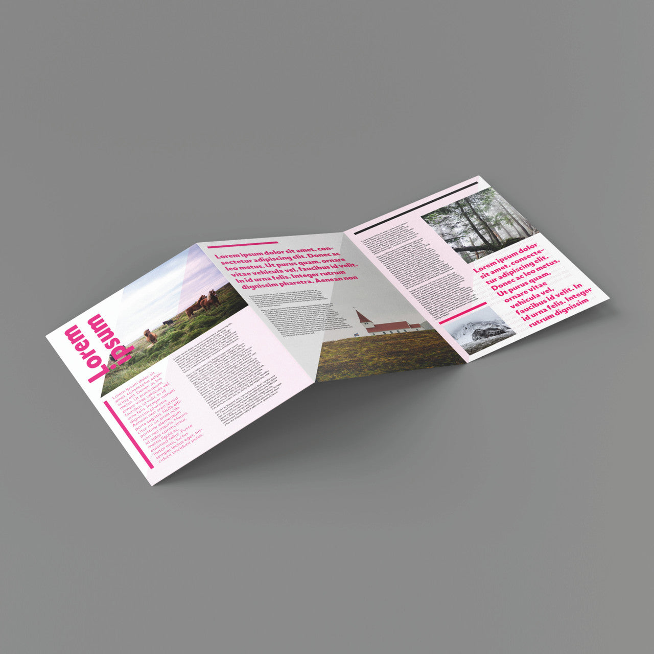 FOLDED BROCHURES - 6 PANEL A5